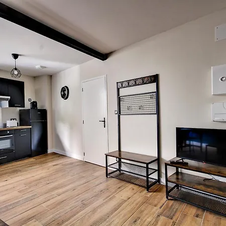 Le Petit Loft De Saint Jean Apartment Rive-de-Gier