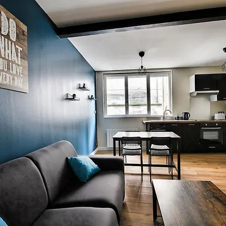 Le Petit Loft De Saint Jean Apartment Rive-de-Gier